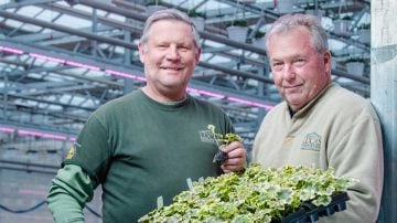 Lucas Greenhouses