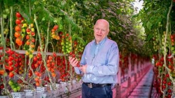 Owner of Miljøgartneriet inside greenhouse using Philips LED lighting