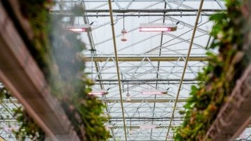 sunterra solution sunterra solution